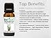 Biofinest Palmarosa Essential Oil - 100% Pure Organic Therapeutic Grade - Best for Aromatherapy, Skin Care, Ease Stress Anxiety Digestion Cold Flu Sore Throat Wounds Scars - Free E-Book (10ml)