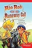 Storytown: Readers Teacher's Guide Below-Level Rio