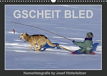 GSCHEIT BLED - Humorfotografie (Wandkalender 2019 DIN A3 quer): Humorfotografie (Monatskalender, 14 Seiten ) (CALVENDO Spass)