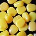 Northbear 50pcs Good Smell Great Fake Soft Lures Corn Fishing Lure Carp Lures