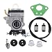 Hipa 300486 Carburetor for Earthquake E43 E43CE Auger MC43 MC43CE MC43E MD43 Tiller Cultivator WE43 WE43E Edger Powermate PEA438 PCV43 Southland SCV43 SEA43 SEA438 Eskimo Mako M43 43cc 51.7cc Engine primary