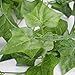 Rurality 192 Feet - 24 Artificial Ivy Garland Greenery Fake Green Vines with Leaves Decoration for Wedding Patio Fence