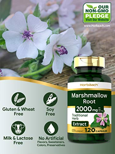 4 Marshmallow+Capsules+Non+GMO+Traditional+Horbaach
