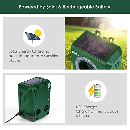 INTEY Solar Ultrasonic Animal Repellent and Pest Repeller, Upgraded