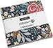 Nova Charm Pack by BasicGrey; 42-5 Inch Precut Fabric Quilt Squares