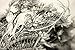 Bachmore Sketchpad 9X12