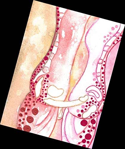 Amazon Com Sex Art Painting Intercourse Medical Drawings Diagram Illustration Anatomical Unusual Sexy Gifts Male Female Passion Abstract Nude Stickykitties Art Gallery Contemporary Unique Artwork Amazon Handmade