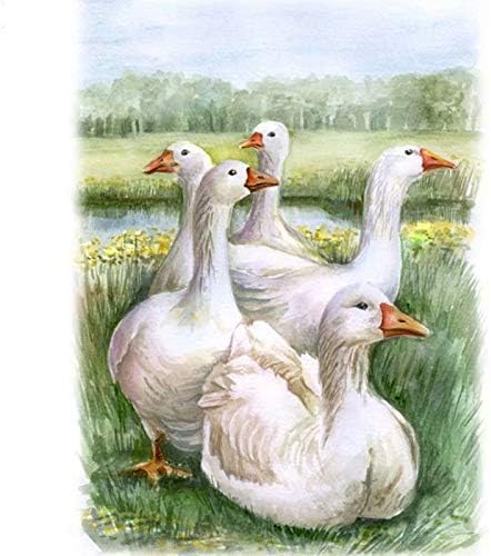 16×20 Inch Rhinestone Cross-stitch Nation Gooses Geese DIY Diamond Portray Kits Arts, Crafts & Stitching Cross Sew