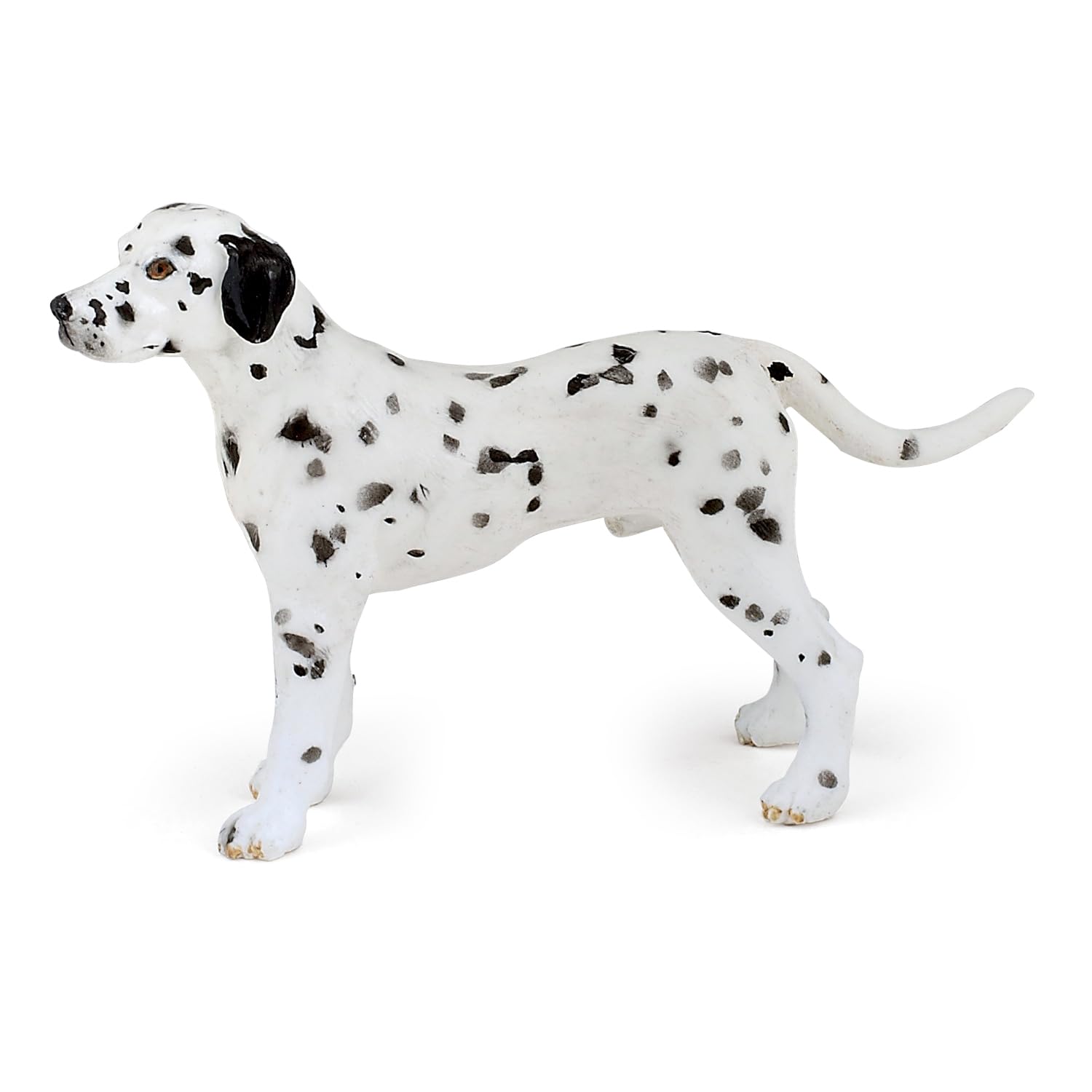 PAPO Dalmatian
