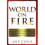 World on Fire: How Exporting Free Market Democracy Breeds Ethnic Hatred and Global Instability