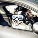 NAMSAN Dog Goggles Medium to Large Breed, Anti-UV Sunglasses for Dogs Large Breeds, Windproof Driving Dog Eye Protection, Doggy Glasses with Elastic Straps, Adjustable, Black