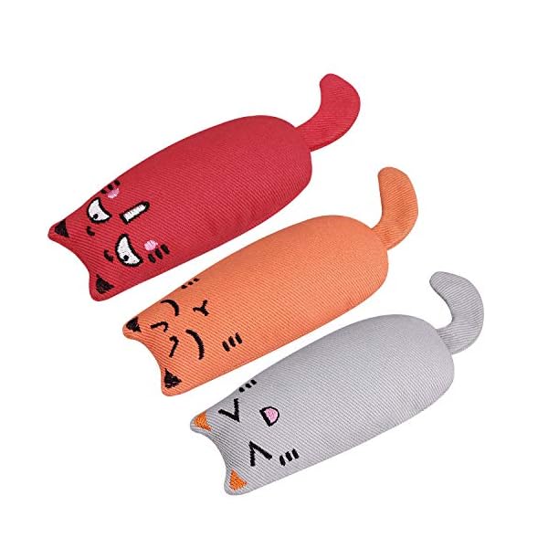 Bojafa-Cat-Catnip-Toys-3-Pack-Cat-Plush-Scratch-Playing-Chewing-Teeth-Cleaning-Creative-Pillow-Scratch-Pet-Catnip-Teeth-Grinding-Chew-Toys Bojafa Cat Catnip Toys 3 Pack Interactive Cat Teeth Cleaning Plush Toys for Indoor Cats Kitten- Creative Scratch Chewing…