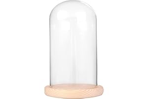 IVOLADOR I Ivolador 7" x 4" Glass Display Cloche Dome with Solid Wood Base Large Size Office Home Decoration