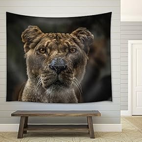 Wild Animal Lion - Fabric Wall Tapestry Home Decor - 51x60 inches
