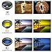 iPhone Camera Lens Kits - Pretmess 4K HD 11 in 1 Aspherical Wide Angle Lens+Super Macro+Fisheye Lens+Telephoto, Phone Lens for Android/iPhone,Cell Phone Video Lens for iPhone/Samsung/Most Smartphone
