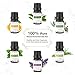 ASAKUKI 400ml Essential Oil Diffuser with 6 Bottles 10ml Pure Natural Essential Oils, 7 LED Color Changing Light and Auto Shut-Off – for Home, Office, Spa, Study, Gymthumb 4