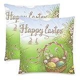 InterestPrint 2 Pack Happy Easter Basket with Egg Pillow Case Cover 18x18 Twin Sides, Easter Bunny near the Grass Zippered Throw Cushion Pillowcase Protector Set Decorative for Couch Bed