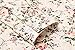 Coofandy Mens Floral Button Down Long Sleeve Dress Shirt Casual Tops,Beige,Medium