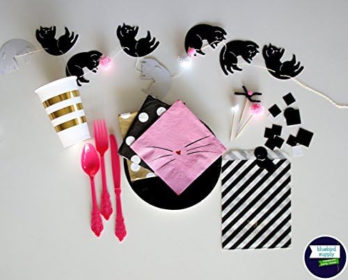 Party Pack : "Cute Kitty" One-of-a-Kind Party Decorations In a Box!