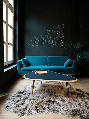 pioku Vinyl Wall Lettering Decals Letters Wall Quotes Science Art Chemisrty Oxytocin Molecule Science School Decor For Bedroom Living Home Family
