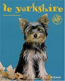 Le  yorkshire