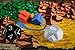 Gamelyn Games Tiny Epic Kingdoms