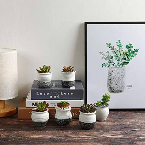 T4U 2.5 Inch Small Ceramic Succulent Planter Pots with