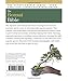 The Bonsai Bible: The definitive guide to choosing and growing bonsai