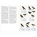 Birds of the Indonesian Archipelago: Greater Sundas and Wallacea