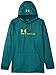 Under Armor Men's Storm Armour Fleece Tonal Twist Hoodie