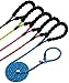 Joytale Dog Slip Leash Rope - Reflective Training Leads for Small Medium Large Dogs - 3/8 inch by 6 Feet - Blue