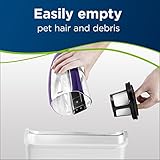 Bissell Pet Hair Eraser