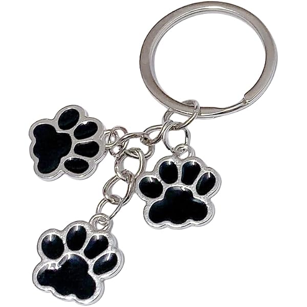 OTETTS Cute Metal Claw Keychain - Aesthetic Pet Paw Key Ring Charm For Women, Kawaii Gift - View #10