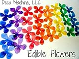 24 Assorted Rainbow Colors Decorative Wafer Paper Flowers© Very Small, Mini 1.25