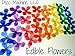 24 Assorted Rainbow Colors Decorative Wafer Paper Flowers© Very Small, Mini 1.25