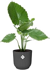 elho Vibes Fold Round 30 Plant Pot 100% Recycled Plastic Black Ø29.5xH27.2 view 3