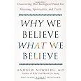 Why We Believe What We Believe: Uncovering Our Biological Need for Meaning, Spirituality, and Truth