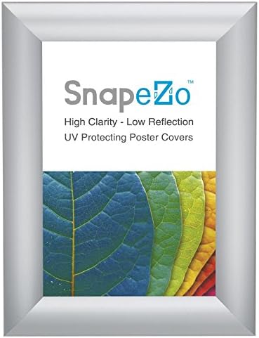 SnapeZo Silver A5 Poster Frame, 1" Profile, Front Loading Snap Display, Wall Mounted, Professional Series