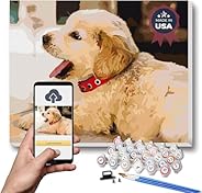 Texture of Dreams Personalized Paint by Numbers Kit for Adults, Acrylic Painting Oil Painting on Framed & 