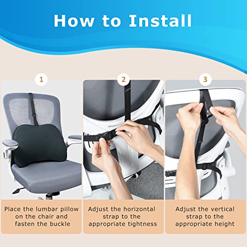 Lumbar Support Pillow for Office Chair for Low Back Pain Relief Mini