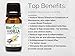 BioFinest Vanilla Oil - 100% Pure Vanilla Essential Oil -Balance Hormone, Calm Stress and Insomnia - Premium Quality - Therapeutic Grade - Best For Aromatherapy - FREE E-Book (10ml)
