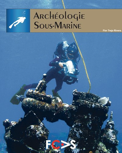 Download Archéologie Sous-Marine PDF