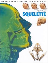 De l'os au squelette