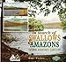 In Search of 'Swallows and Amazons : Arthur Ransomes's Lakeland by