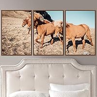 3 Piece Framed Canvas Wall Art On a Plain Field Animals Farmhouse Fun Horse Living Room - 16