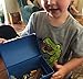 Boys Treasure Box Chest for Jewelry Rocks and Trinkets