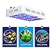 Wattshine Aquarium Light 180W LED Coral Light,Large Angle Dimmable Reef Light,Full Spectrum LED Aquarium Lights for Saltwater Reef,Fish,Coral,SPS,LPS Growing,White Blue Aquarium Lighting