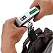 ROSIMO Digital Hanging Luggage Scale,Rubber Paint,Temperature Sensor,50kg,Silver