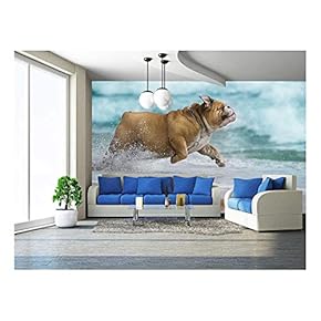 Happy Dog Bulldog Running at The sea - Removable Wall Mural | Self-Adhesive Large Wallpaper - 66x96 inches