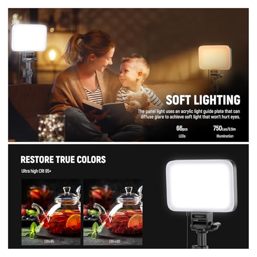 NEEWER Basics 2 Pack LED Video Light Panel Lighting Kit, Bi Color Dimmable Portable Studio Lights with Stands & Filters, 3200K-5600K 750lux CRI95 for Video Recording Live Streaming Photography, BP66